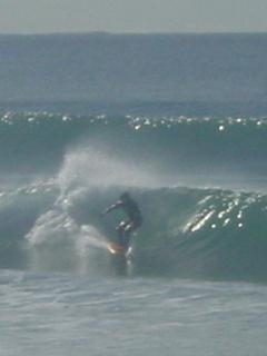 en surfer op de golven van Manly beach